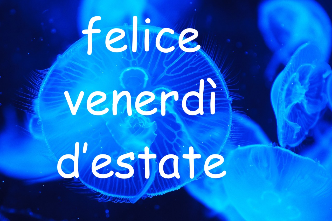 felice venerdì estivo immagine spettacolare di una medusa dai colori strabilianti